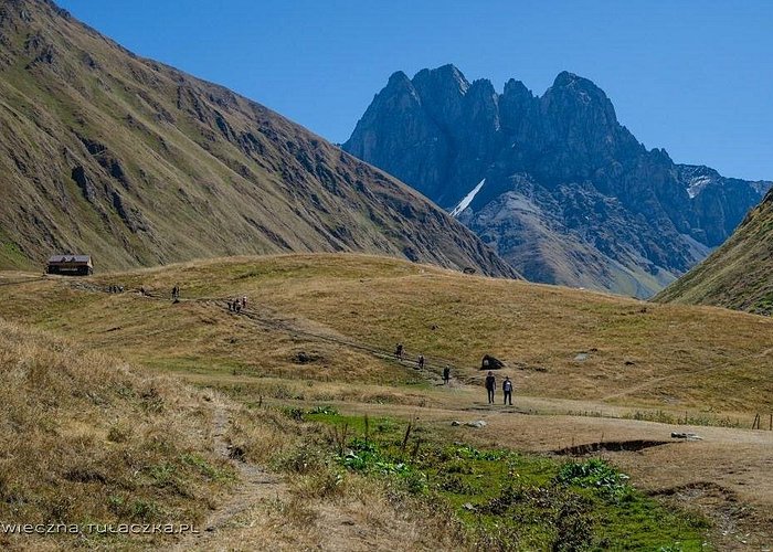כרטיס אוטובוס הלוך חזור מקזבגי לג׳וטה