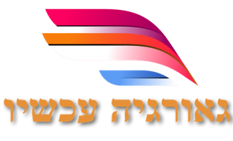לוגו